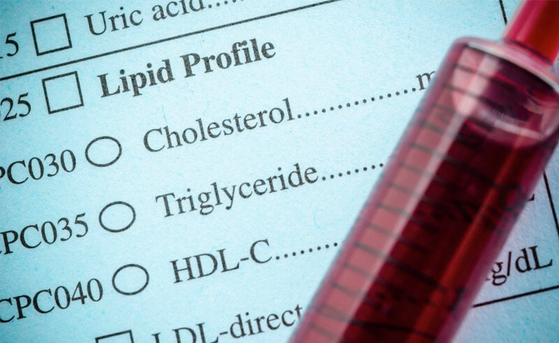 Cholesterol-Importance